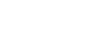 ZWF_IT_+_CONSULTING_WEB_weiss